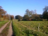 fohrde001