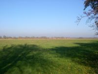 fohrde005
